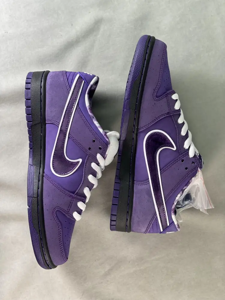 Nike SB Dunk Low Concepts Purple 