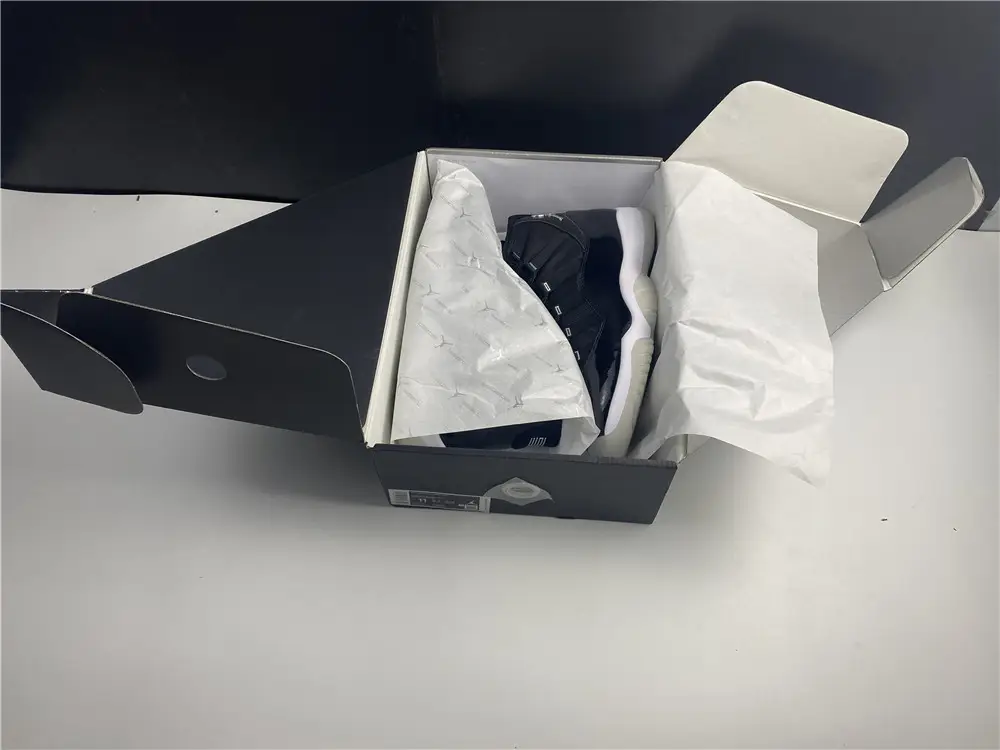 Air Jordan 11 25th Anniversary 