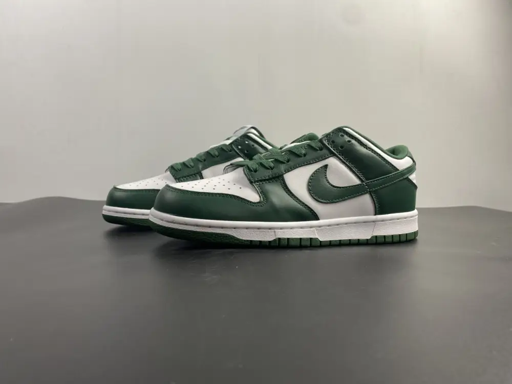 Nike Dunk Low Michigan  EFDAA239
