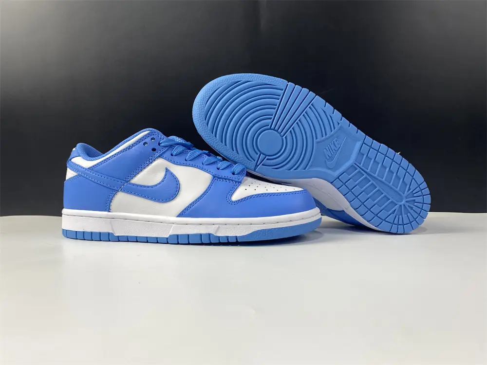 Nike Dunk Low UNC 
