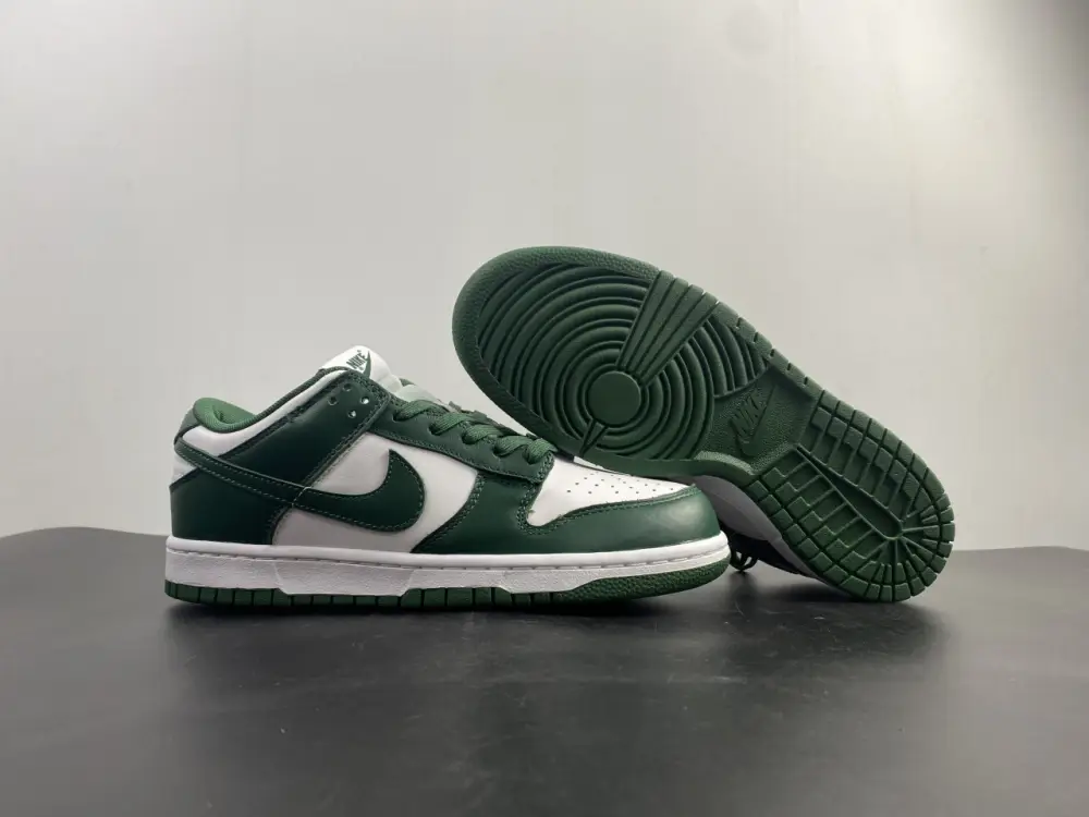 Nike Dunk Low Michigan 