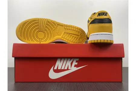 Nike Dunk Low Goldenrod (2021) 