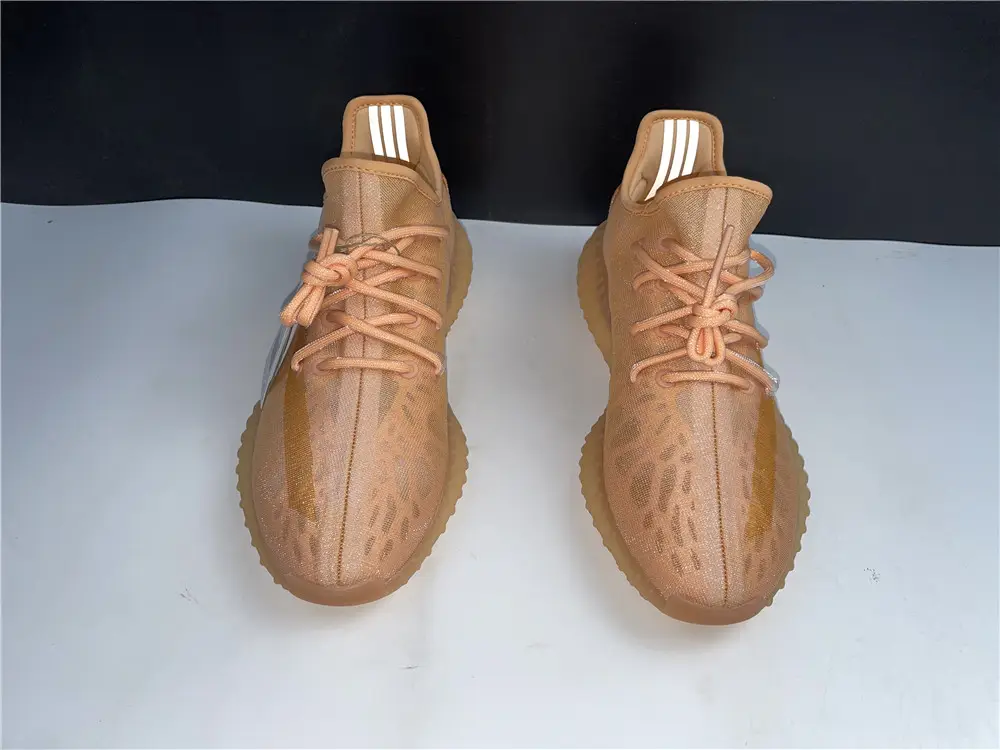 Adidas Yeezy 350 Boost V2 “Mono Clay” 