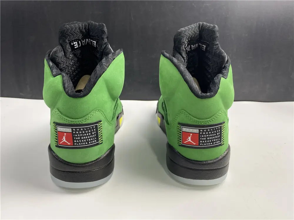 Air Jordan 5 SE Oregon Ducks 
