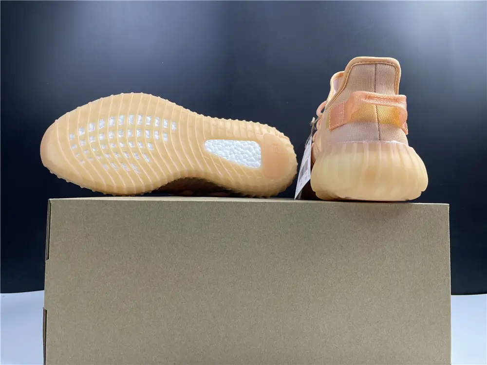 Adidas Yeezy 350 Boost V2 “Mono Clay” 