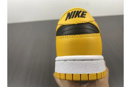 Nike Dunk Low Goldenrod (2021) 