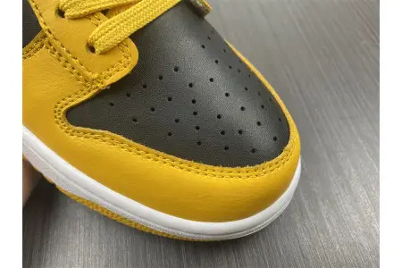 Nike Dunk Low Goldenrod (2021) 