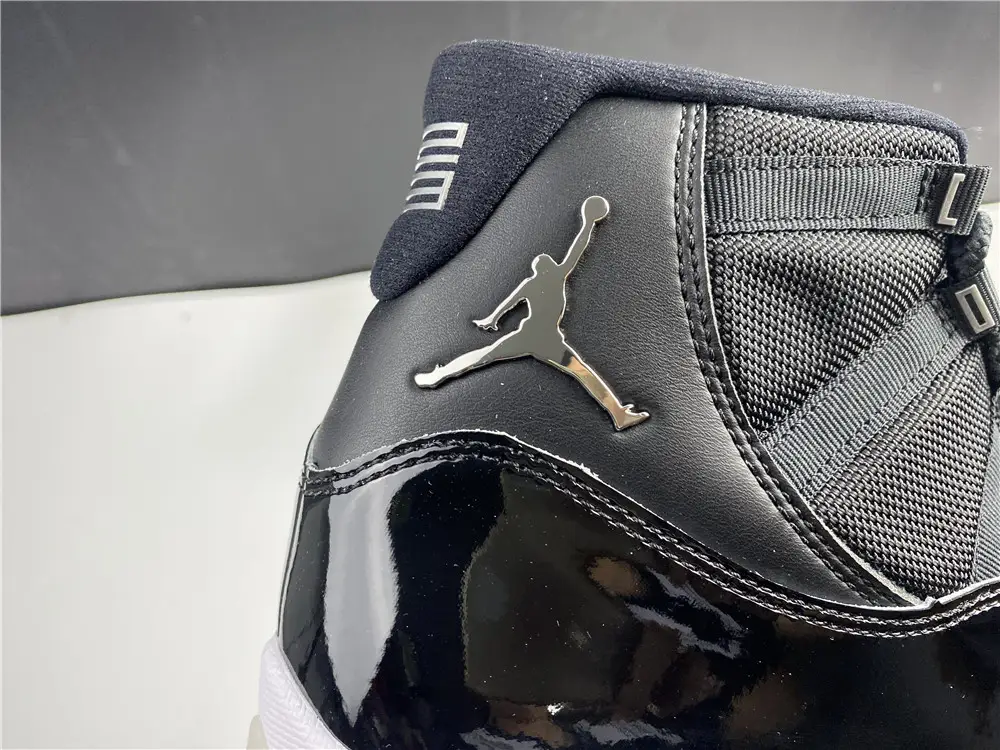 Air Jordan 11 25th Anniversary 