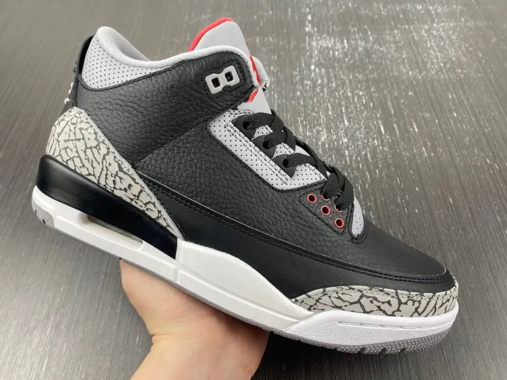 Air Jordan 3 Black Cement 