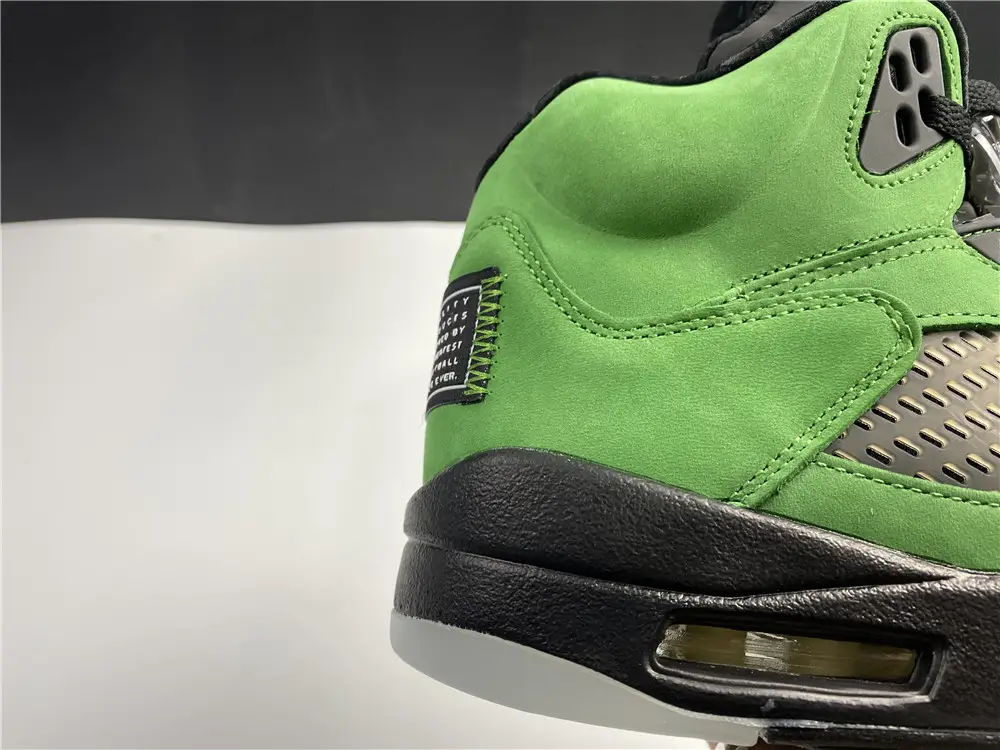 Air Jordan 5 SE Oregon Ducks 