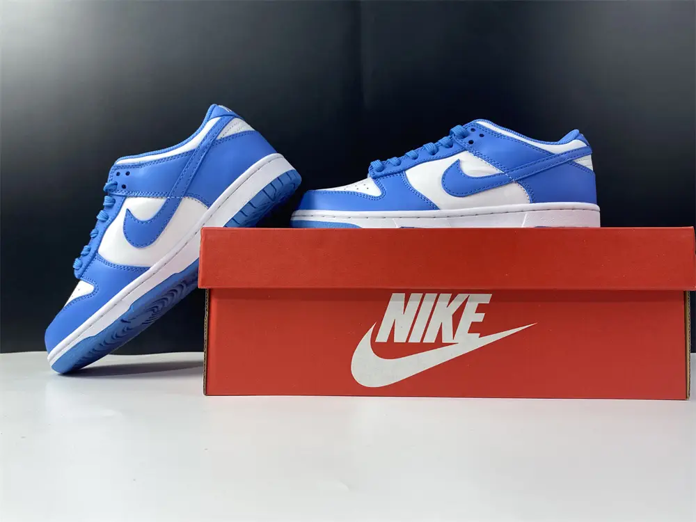 Nike Dunk Low UNC 