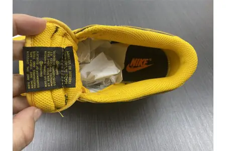 Nike Dunk Low Goldenrod (2021) 