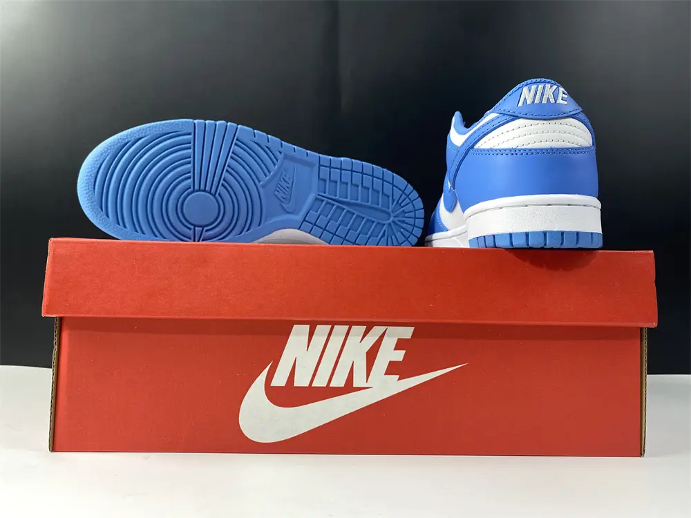 Nike Dunk Low UNC 