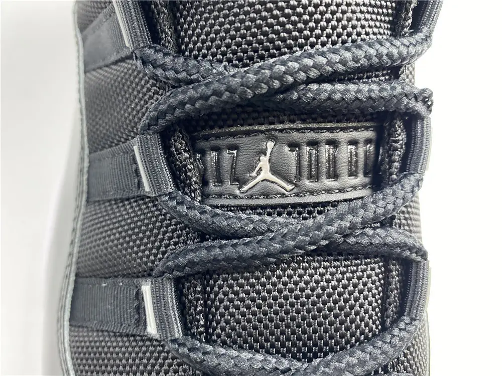 Air Jordan 11 25th Anniversary 