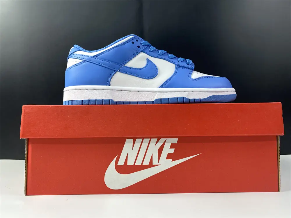 Nike Dunk Low UNC 