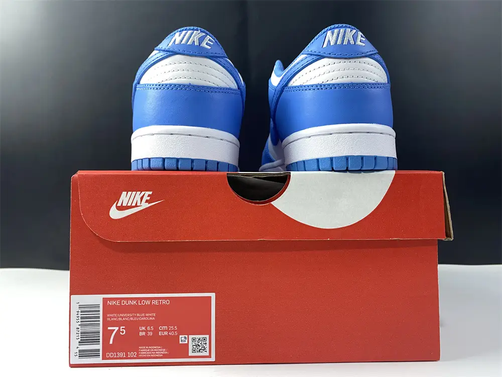 Nike Dunk Low UNC 