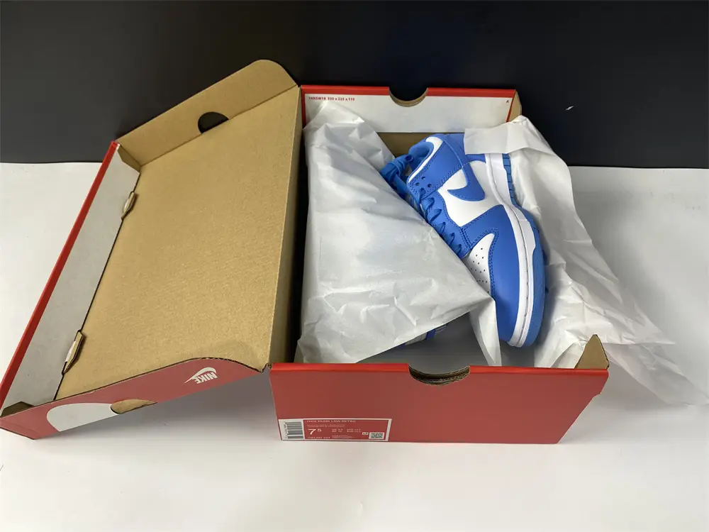 Nike Dunk Low UNC 