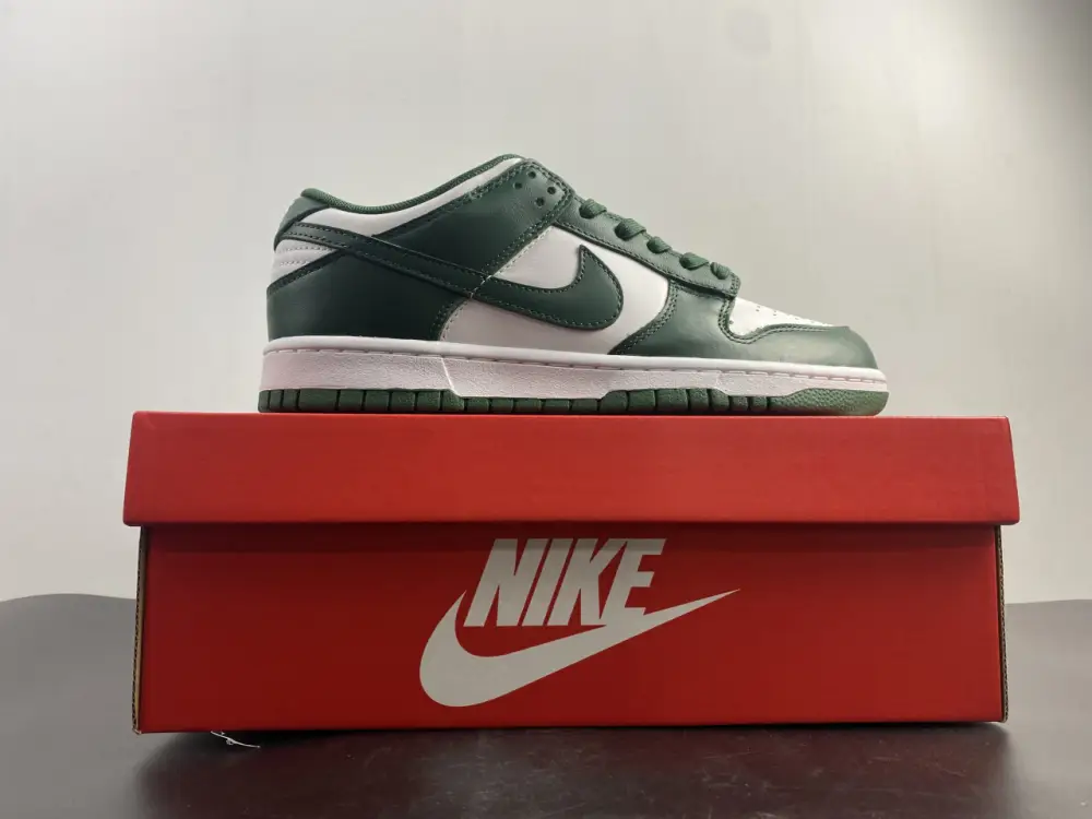 Nike Dunk Low Michigan 