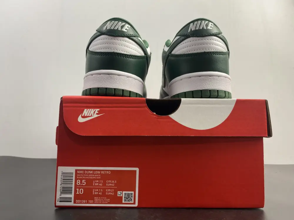 Nike Dunk Low Michigan  EFDAA239