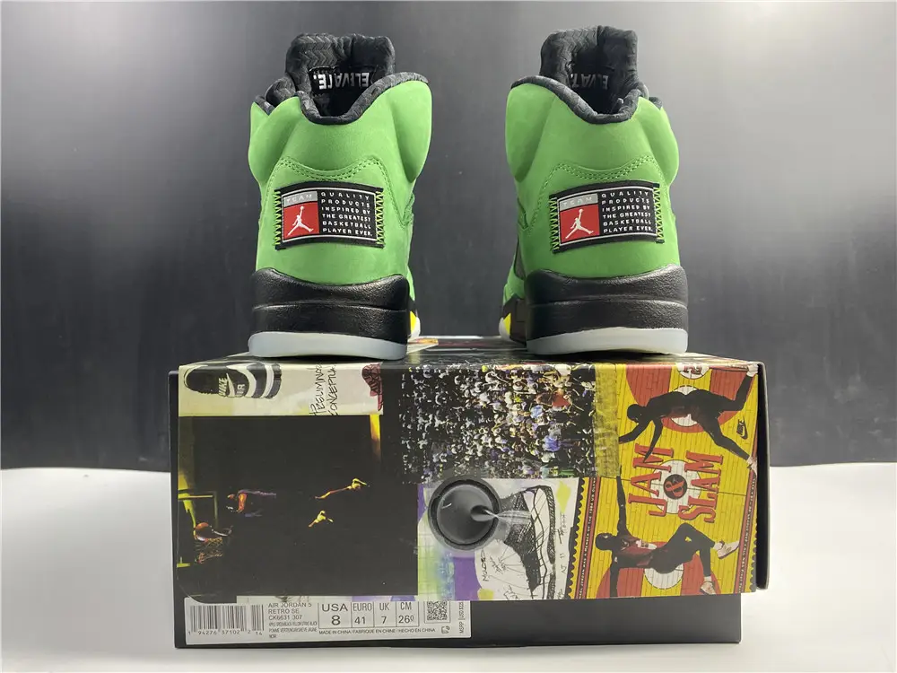Air Jordan 5 SE Oregon Ducks 