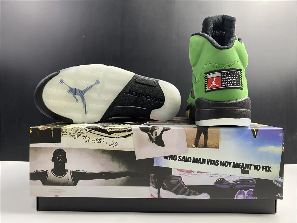 Air Jordan 5 SE Oregon Ducks 