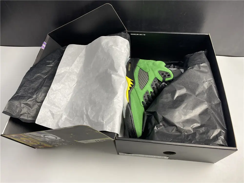 Air Jordan 5 SE Oregon Ducks 