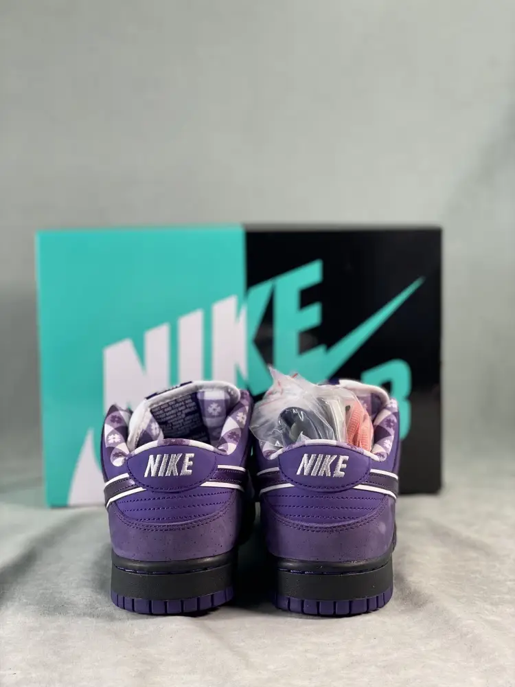 Nike SB Dunk Low Concepts Purple 