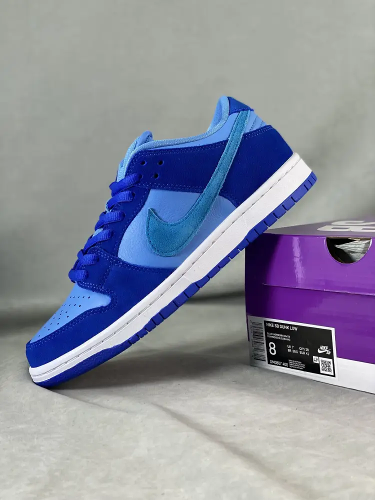 Nike SB Dunk Low Blue 
