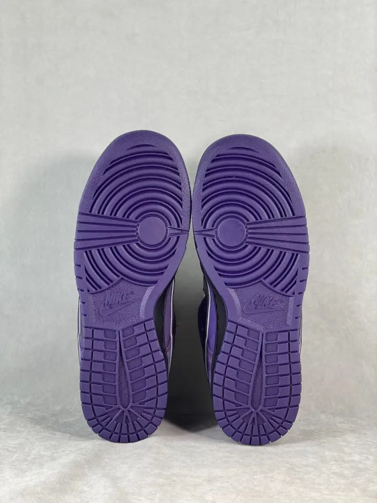 Nike SB Dunk Low Concepts Purple 