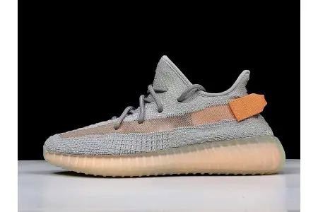 Adidas Yeezy Boost 350 V2 True Form 