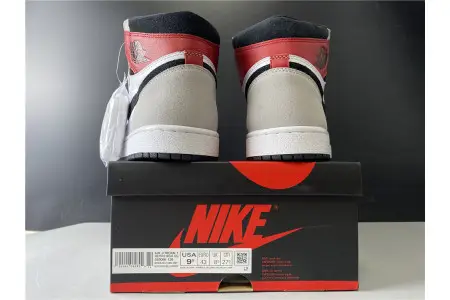 Air Jordan 1 High OG  Light Smoke Grey 