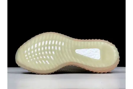 Adidas Yeezy Boost 350 V2 True Form 