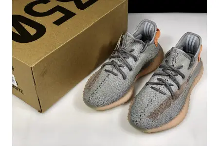 Adidas Yeezy Boost 350 V2 True Form 