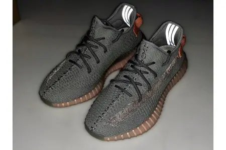 Adidas Yeezy Boost 350 V2 True Form 