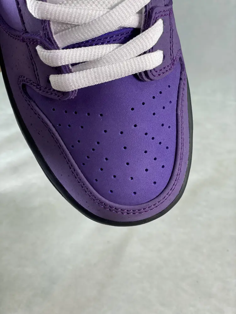 Nike SB Dunk Low Concepts Purple