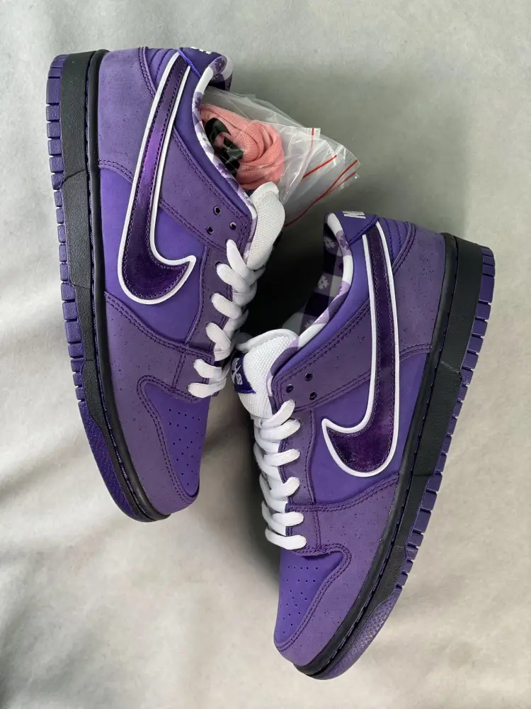 Nike SB Dunk Low Concepts Purple 
