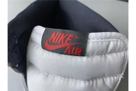 Air Jordan 1 High OG  Light Smoke Grey 