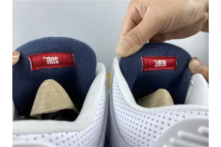 Air Jordan 3  UNC 