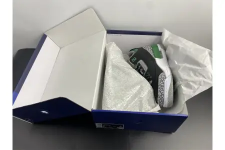 Air Jordan 3 Pine Green 