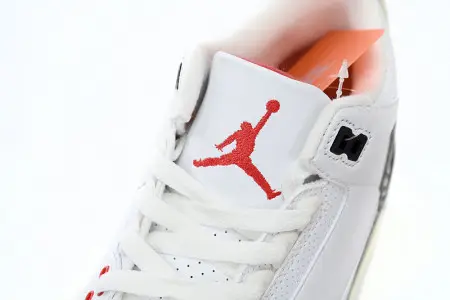 Jordan 3 Retro White Cement Reimagined 