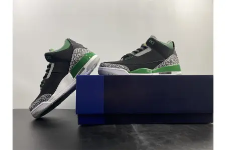 Air Jordan 3 Pine Green 
