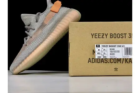 Adidas Yeezy Boost 350 V2 True Form 