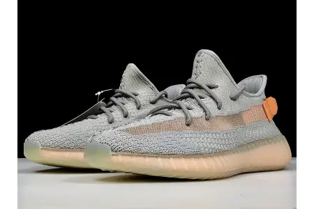 Adidas Yeezy Boost 350 V2 True Form  DBCC130