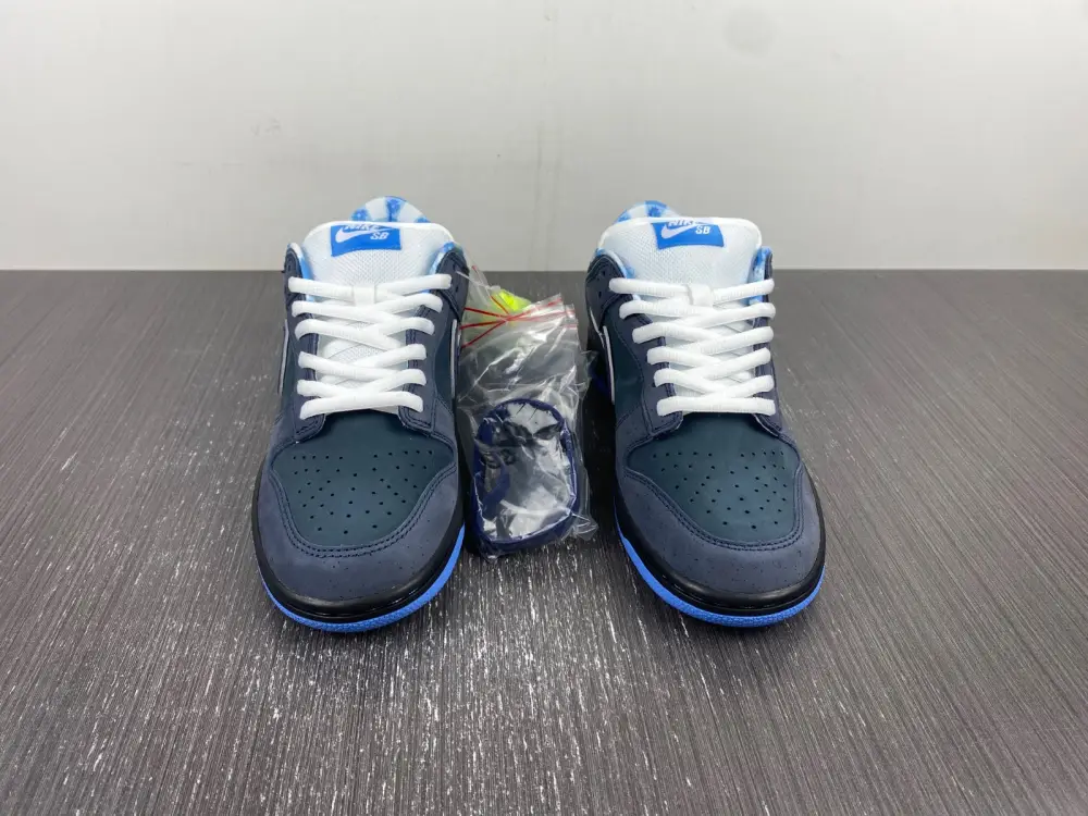 Nike Dunk SB Low Blue 