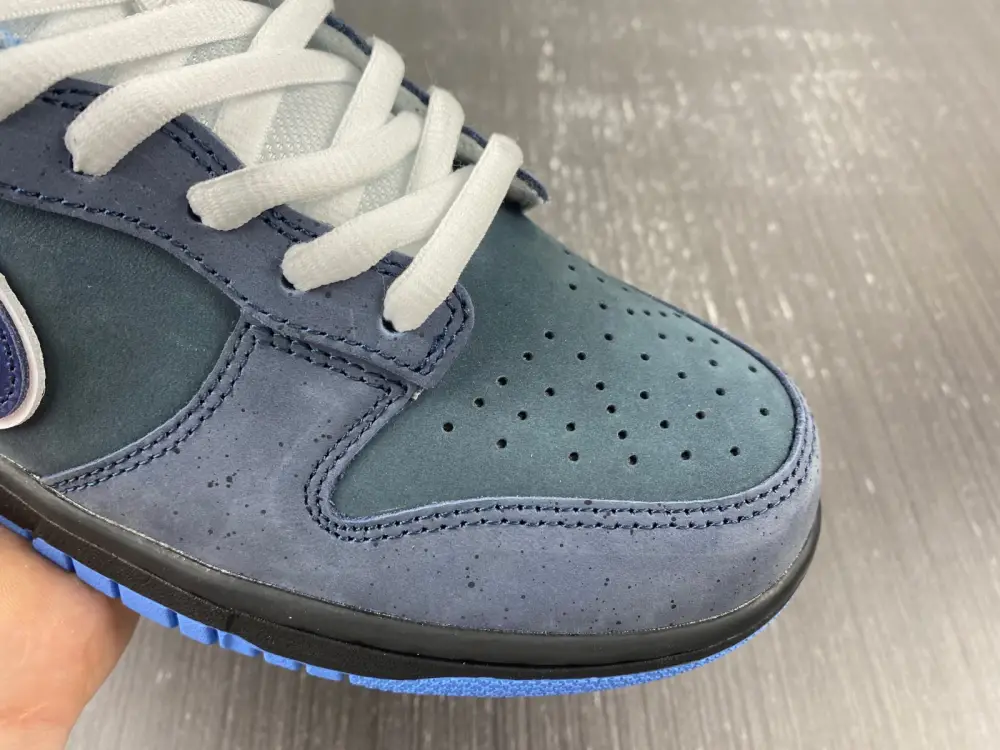 Nike Dunk SB Low Blue 