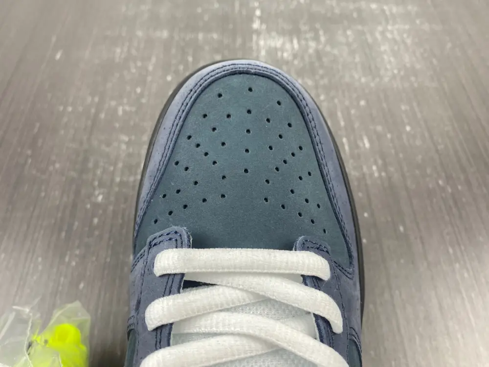 Nike Dunk SB Low Blue 