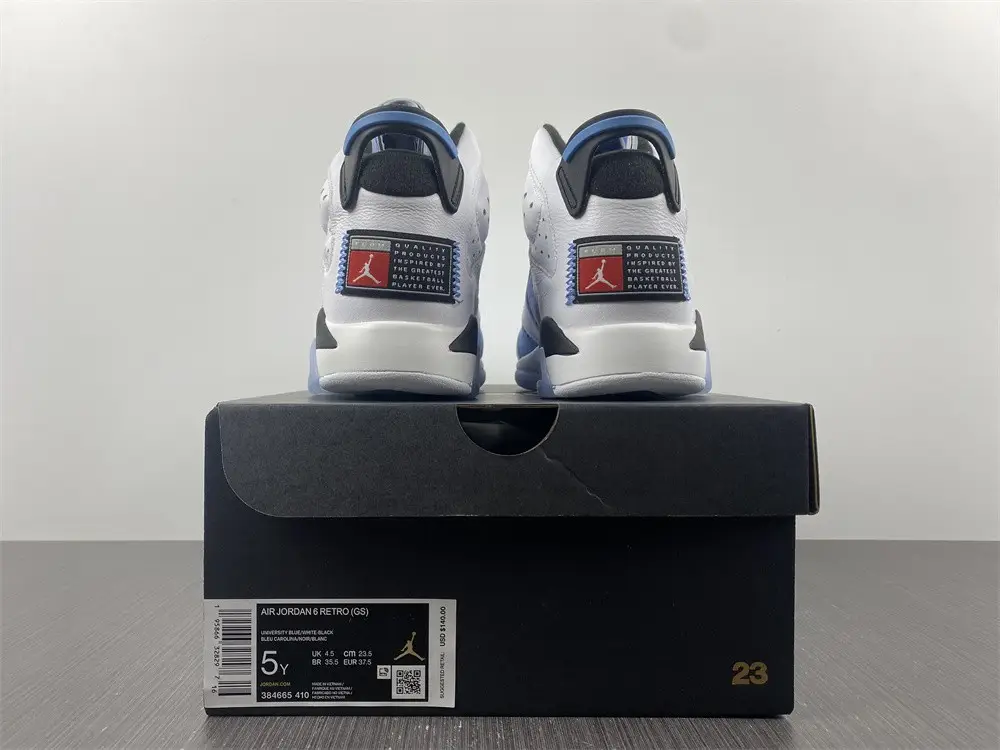 Jordan 6 Retro UNC 
