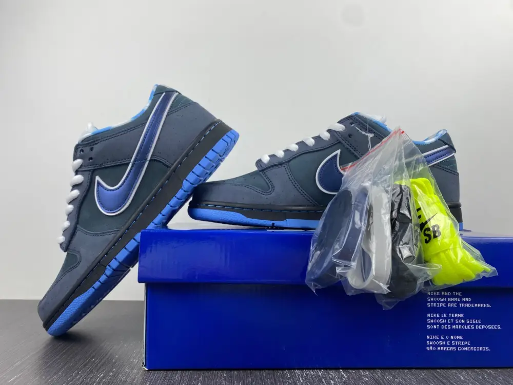 Nike Dunk SB Low Blue 