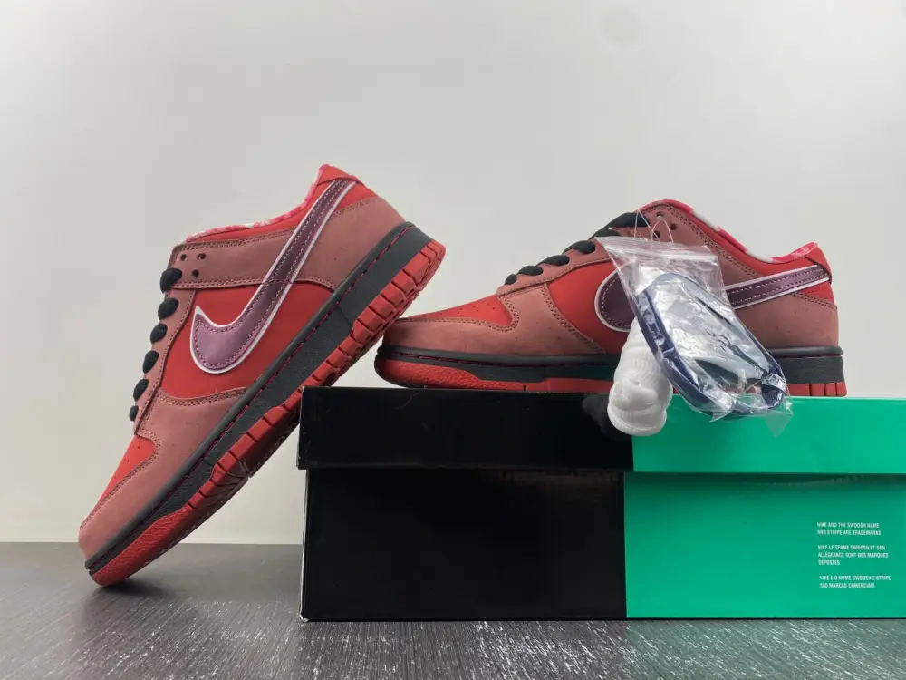 Nike Dunk SB Low Red 