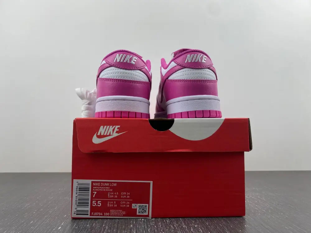 Nike Dunk Low Active 